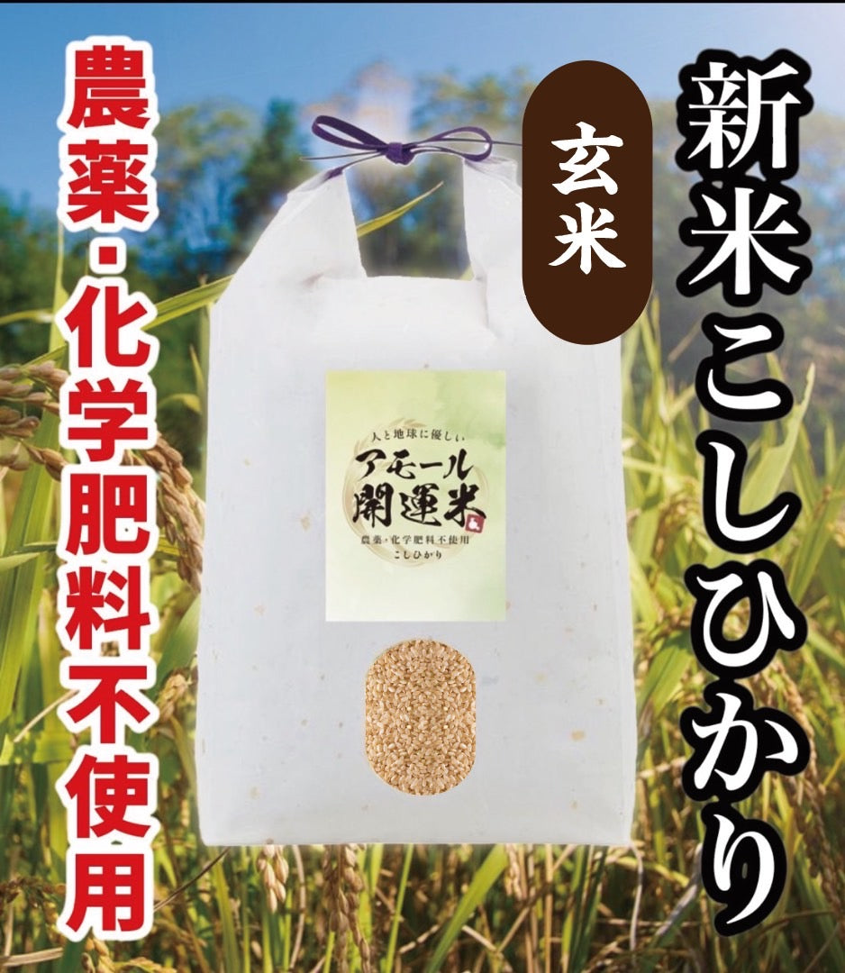 【同梱不可】アモール開運米(玄米)5kg 農薬化学肥料不使用 新米コシヒカリ 低温熟成 旨みたっぷり!ダイエットにおすすめ【無くなり次第終了】