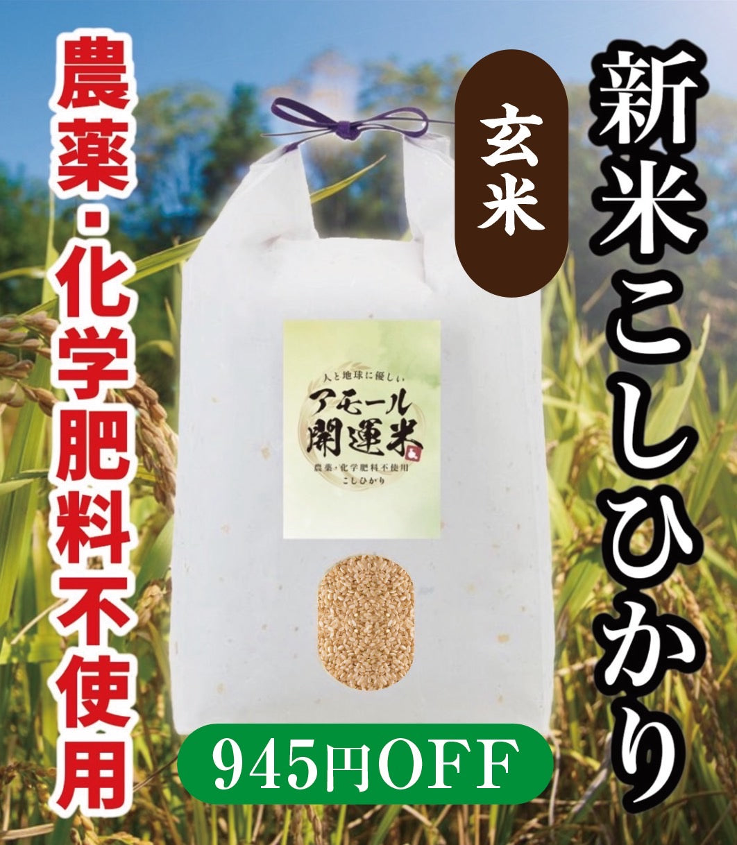 【同梱不可】アモール開運米(玄米)20kg(5キロ×4) 農薬化学肥料不使用 新米コシヒカリ 低温熟成 旨みたっぷり!ダイエットにおすすめ【無くなり次第終了】