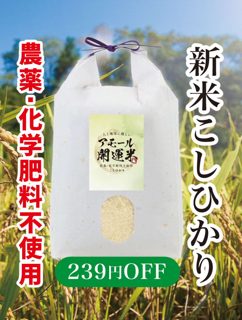 【同梱不可】アモール開運米10kg (5キロ×2)農薬化学肥料不使用 新米コシヒカリ 低温熟成 旨みたっぷり!ダイエットにおすすめ【無くなり次第終了】