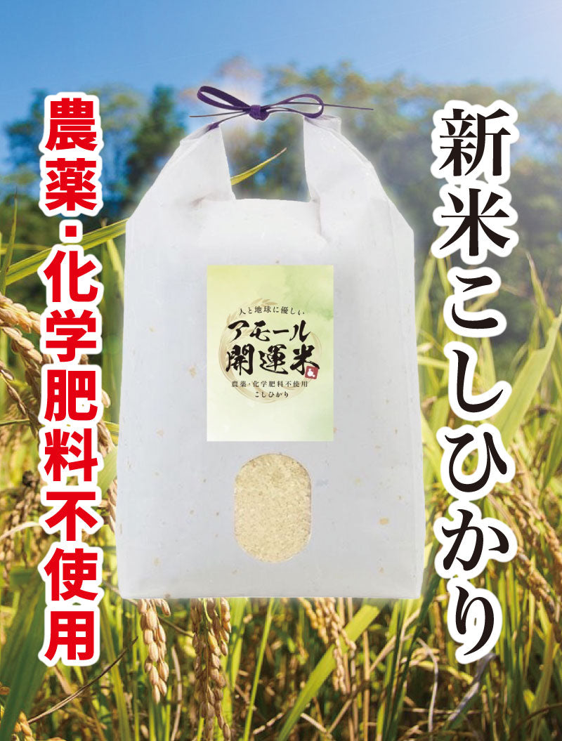 【同梱不可】令和7年産 アモール開運米5kg〜20kg 農薬化学肥料不使用 新米コシヒカリ 低温熟成 旨みたっぷり!ダイエットにおすすめ【無くなり次第終了】